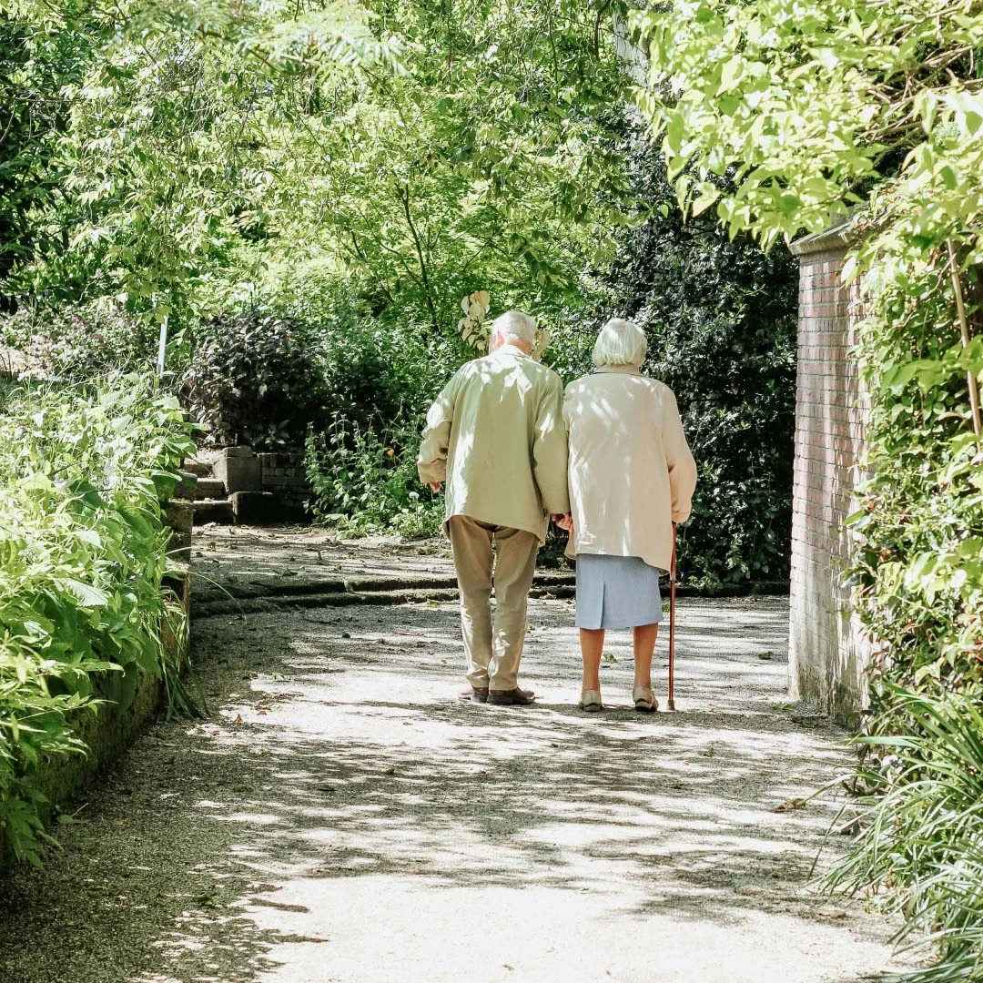 Ein älteres Paar geht an einem sonnigen Tag im Park spazieren. Man sieht sie von hinten Hand in Hand gehen.